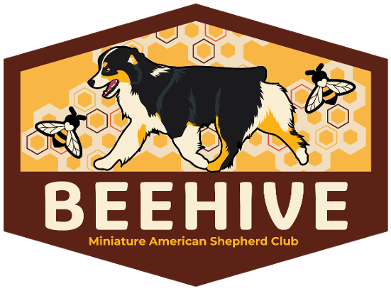 Beehive Miniature American Shepherd Club