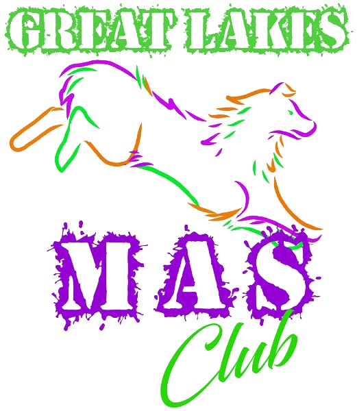 Great Lakes Miniature American Shepherd Club